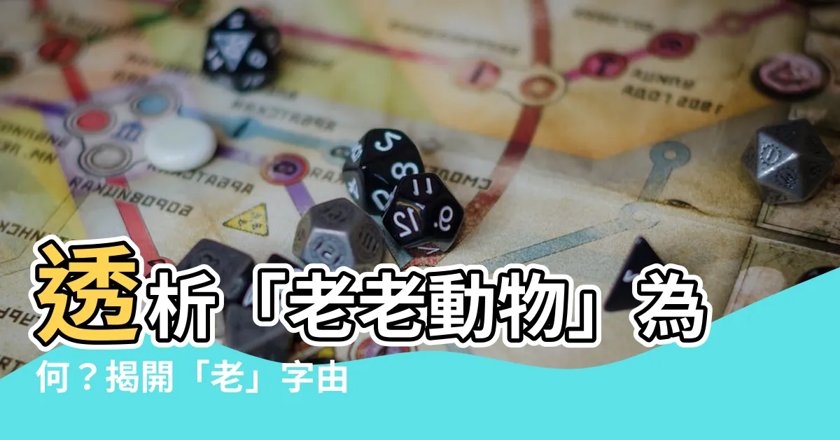 【老字由來】透析「老老動物」為何？揭開「老」字由來的秘密！