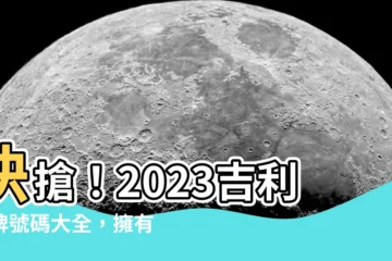【吉利車牌號碼大全2023】快搶！2023吉利車牌號碼大全，擁有夢幻百萬車牌就在今天！