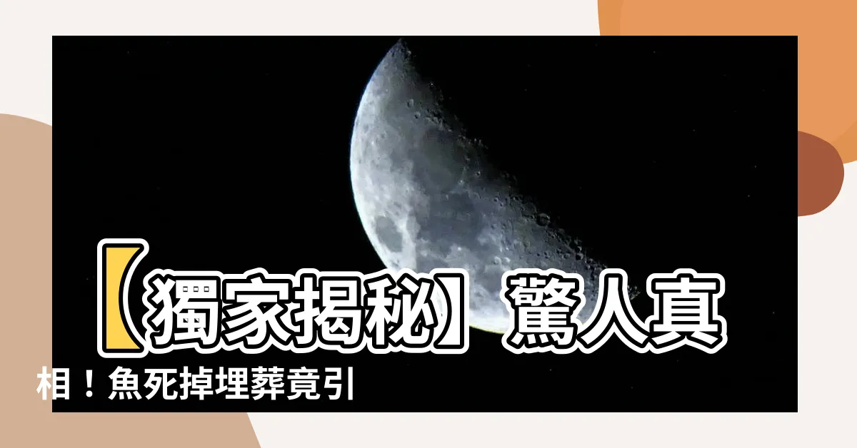 【魚死掉埋葬】【獨家揭秘】驚人真相！魚死掉埋葬竟引發這場驚天秘密儀式！