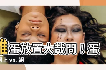 【放蛋方向】雞蛋放置大哉問！蛋尖朝上 vs. 朝下，哪個才正確？