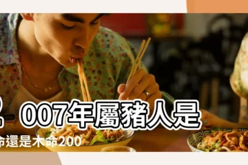 【屬豬什麼命2007】2007年屬豬人是火命還是木命2007 |2007年的屬豬者是什麼命五行屬什麼 |2007年屬豬是什麼命 |