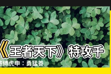 【虎申】《王者天下》特攻千人將縛虎申：勇猛善戰，虎將之稱