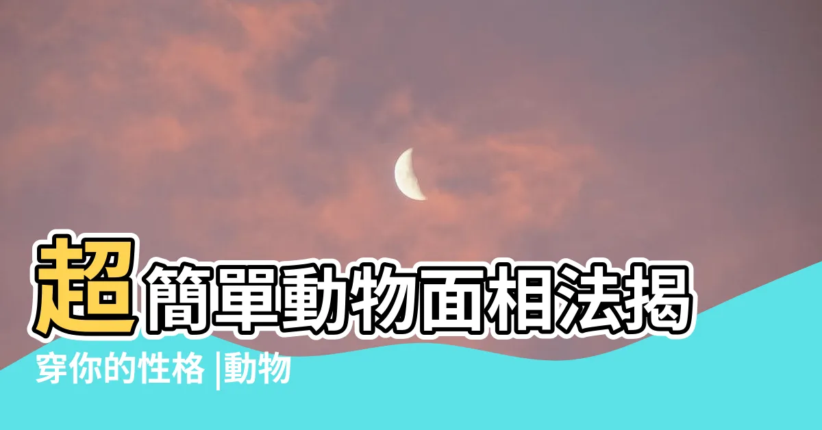 【動物面相】超簡單動物面相法揭穿你的性格 |動物相測驗 |韓國8大 |