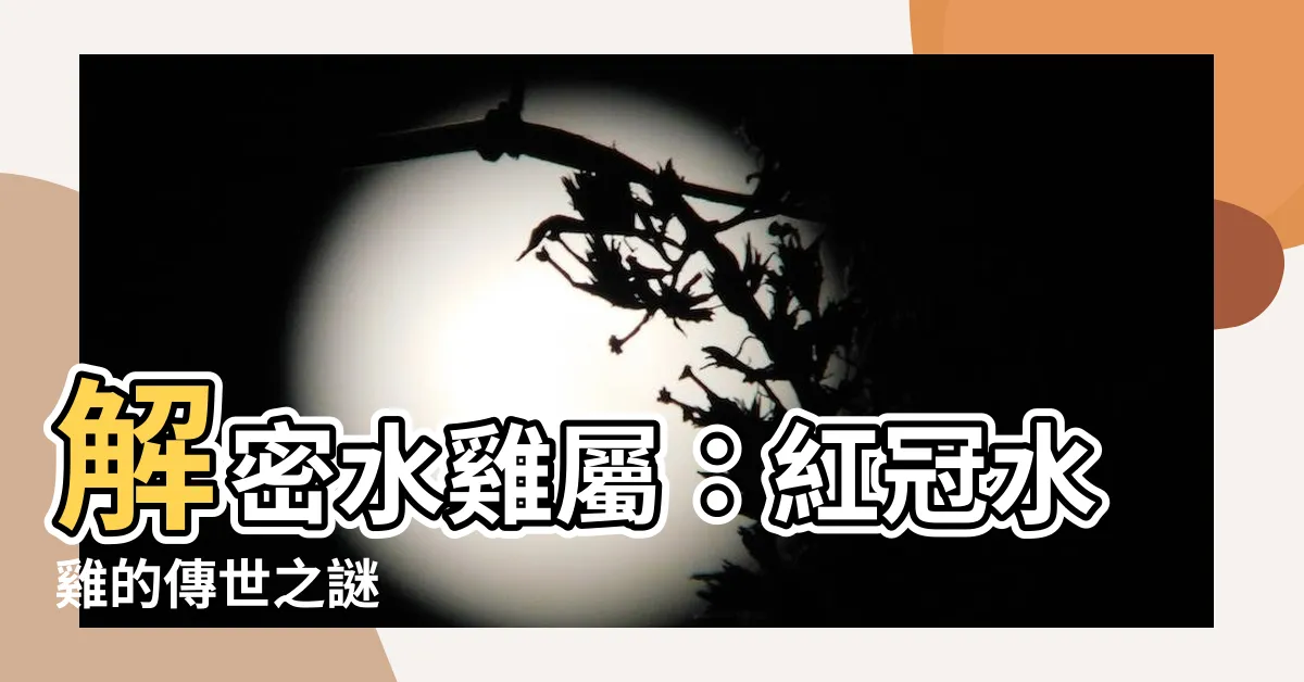 【水雞屬】解密水雞屬：紅冠水雞的傳世之謎