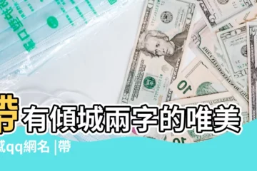 【關於傾字的網名】帶有傾城兩字的唯美傷感qq網名 |帶傾字的網名 |帶傾的網名 |