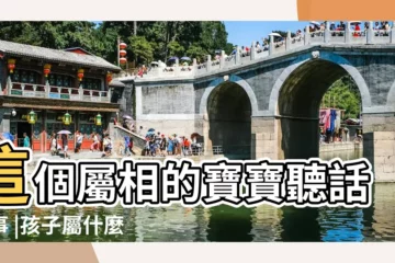 【母親屬羊和子女屬狗】這個屬相的寶寶聽話懂事 |孩子屬什麼好 |爸爸屬狗媽媽屬羊 |