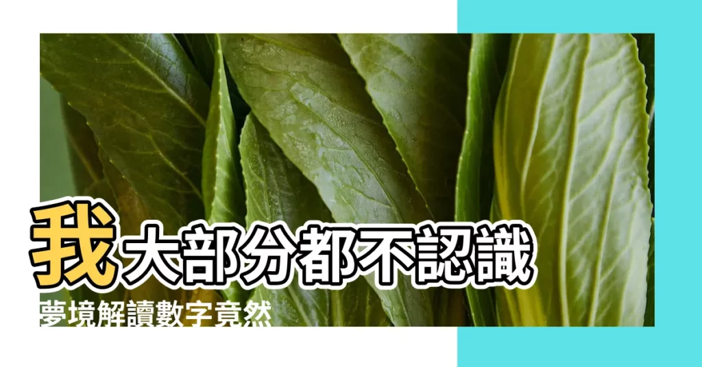 我大部分都不認識 |夢境解讀數字竟然可以中樂透 |夢境號碼解析結果 |【夢見有人在我屋外搖鈴鐺】