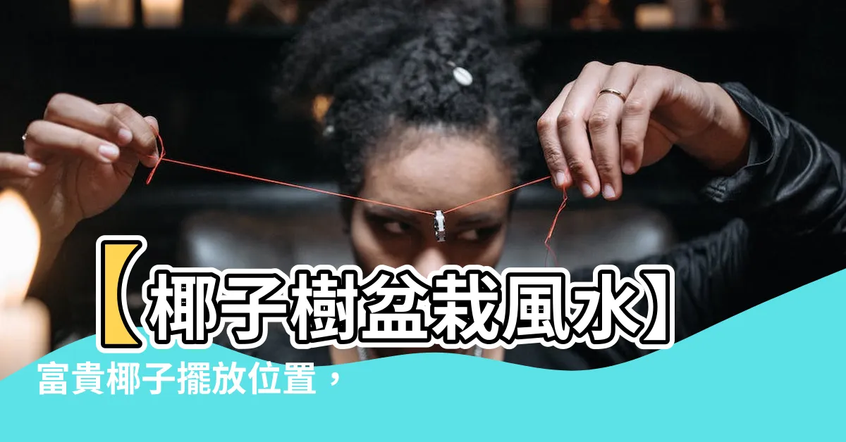 【椰子樹盆栽風水】【椰子樹盆栽風水】富貴椰子擺放位置，招財旺福，助事業健康祈福