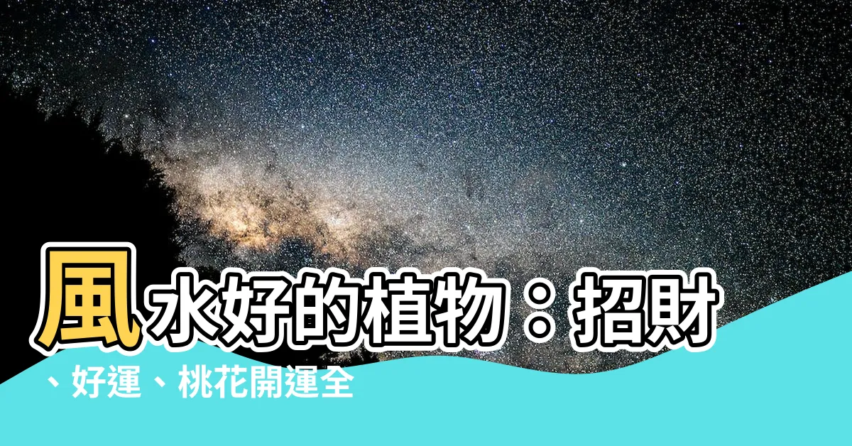 【風水好的植物】風水好的植物：招財、好運、桃花開運全方位指南