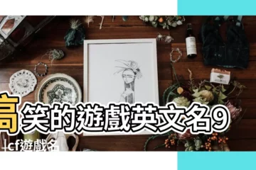 【遊戲怎麼翻譯英文名字】搞笑的遊戲英文名96個 |cf遊戲名字英文帶翻譯 |英文遊戲名字大全帶翻譯 |