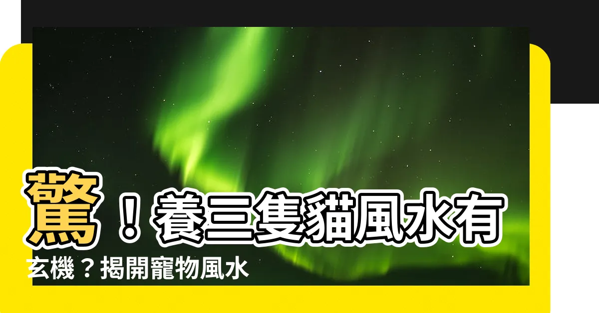 【養三隻貓風水】驚！養三隻貓風水有玄機？揭開寵物風水不可不知的秘密