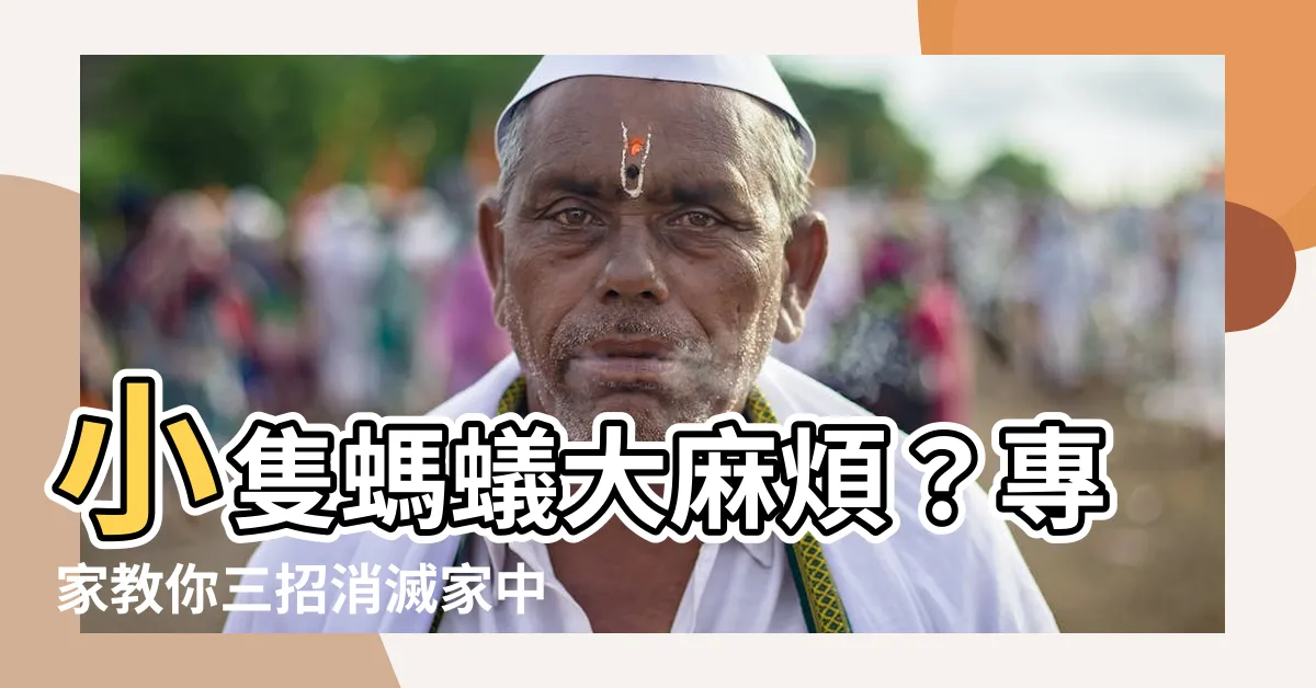 【小隻螞蟻】小隻螞蟻大麻煩？專家教你三招消滅家中蟻患