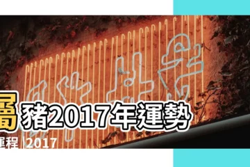 【2017屬豬二月生人運勢】屬豬2017年運勢及運程 |2017丁酉雞年生肖 |屬豬2017年2月運勢解析 |