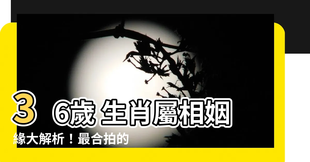 【36歲 生肖】36歲 生肖屬相姻緣大解析！最合拍的結婚對象公開！