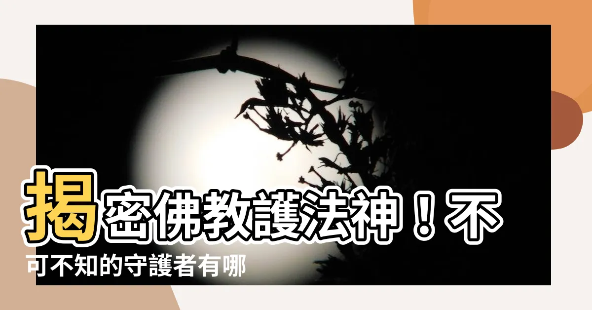 【護法神有哪些】揭密佛教護法神！不可不知的守護者有哪些？
