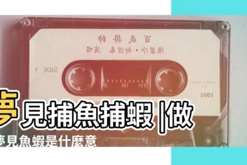 【做夢捕魚 蝦】夢見捕魚捕蝦 |做夢夢見魚蝦是什麼意思做夢夢見魚蝦在水裏遊好不好 |夢見抓魚蝦 |