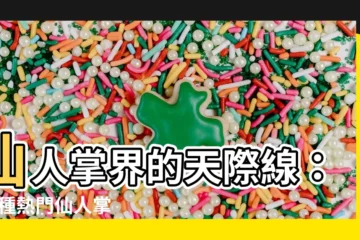 【仙人掌球品種】仙人掌界的天際線：25 種熱門仙人掌球種類大公開