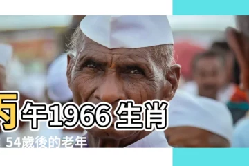 【丙午 1966】丙午1966 生肖馬：54歲後的老年運勢大解析