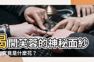 【芙蓉是什麼花】揭開芙蓉的神秘面紗：它究竟是什麼花？