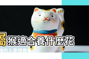 【雞年屬猴養什麼花吉祥】屬猴適合養什麼花 |屬猴的人家裡養什麼花 |屬猴的家裏養什麼花好屬猴養什麼花可以招財 |