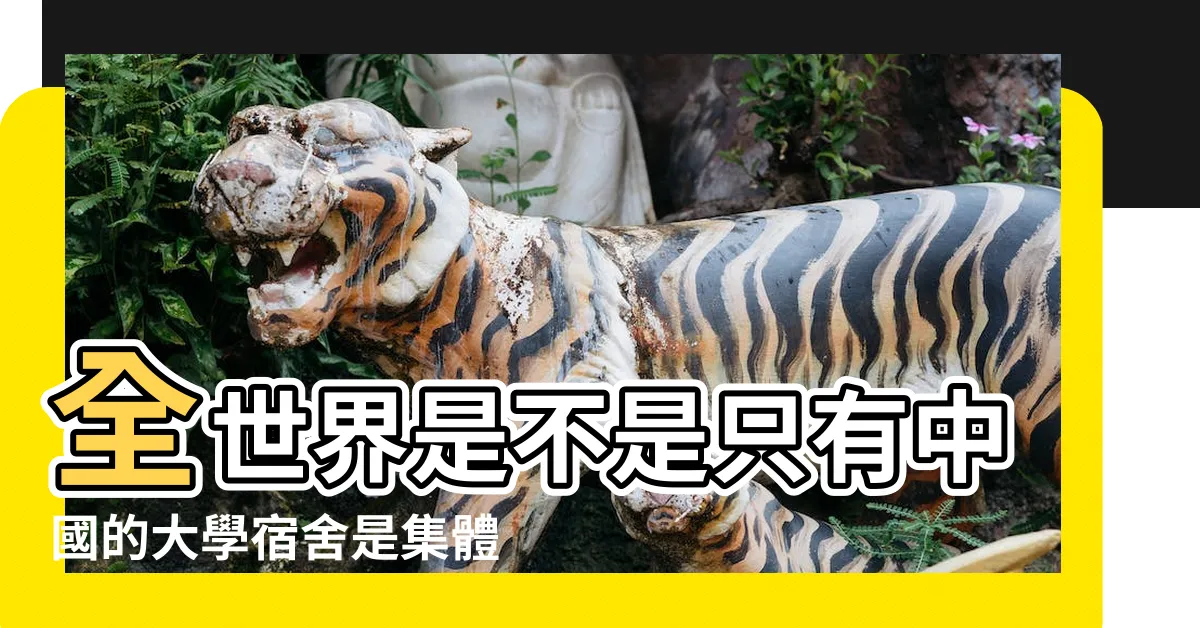 【集體宿舍】全世界是不是只有中國的大學宿舍是集體宿舍 |集體宿舍 |集體宿舍 |