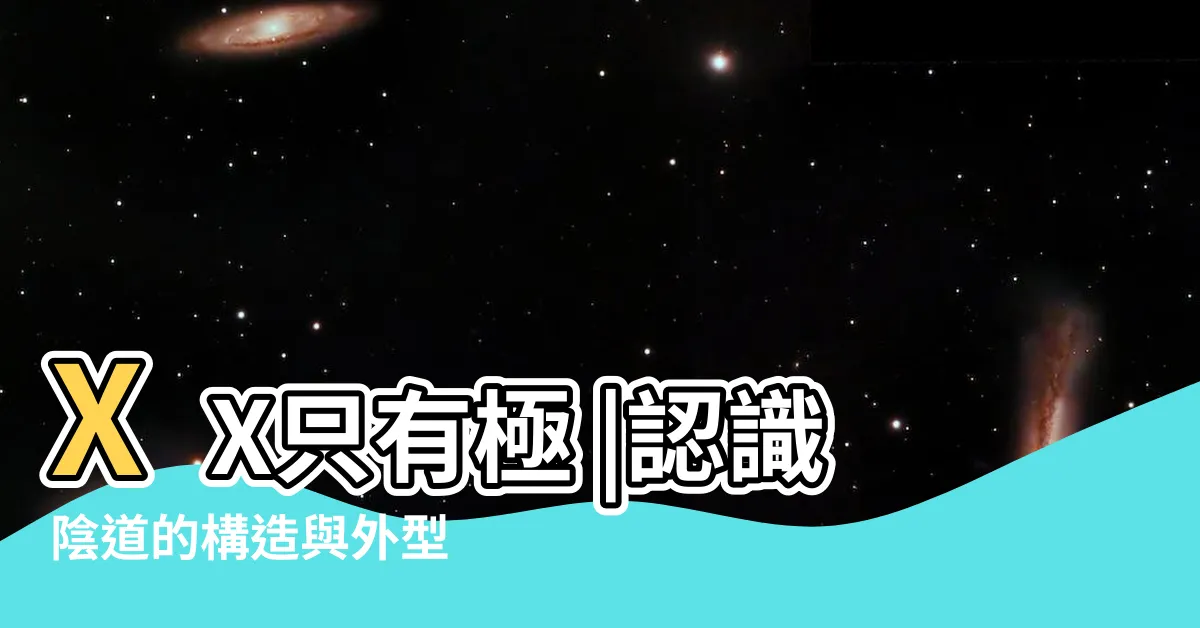 【穴穴形狀】XX只有極 |認識陰道的構造與外型 |陰道和外陰竟有5種形狀 |