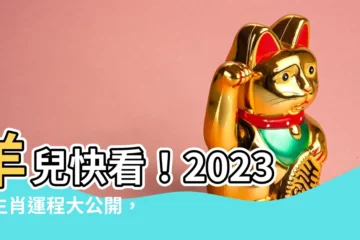 【2023年生肖運程羊】羊兒快看！2023年生肖運程大公開，貴人指引財富旺盛