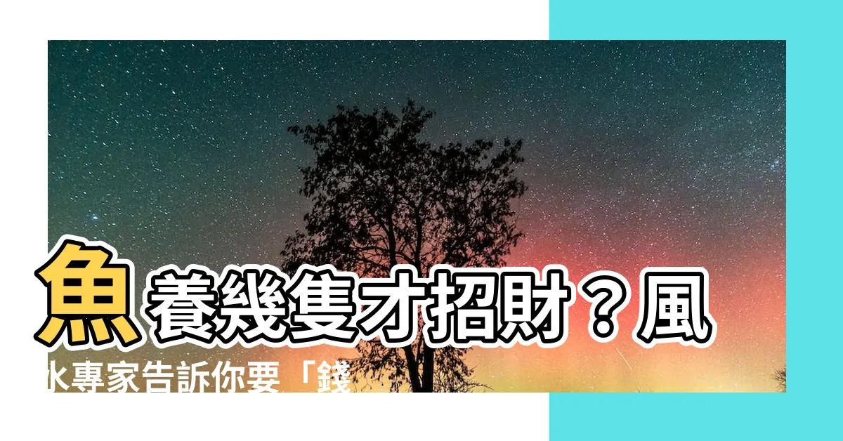 【魚養幾隻】魚養幾隻才招財？風水專家告訴你要「錢多多」的秘訣！