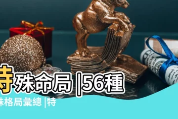 【八字特殊】特殊命局 |56種特殊格局彙總 |特殊的八字命格有哪些 |