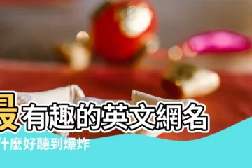 【帶小哥哥的網名 英文】最有趣的英文網名 |有什麼好聽到爆炸的英文網名 |大氣又低調的英文名字帶翻譯適合男生 |