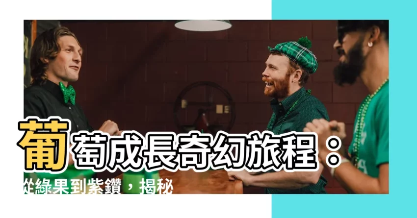 【葡萄生長過程】葡萄成長奇幻旅程：從綠果到紫鑽，揭秘6大關鍵步驟！