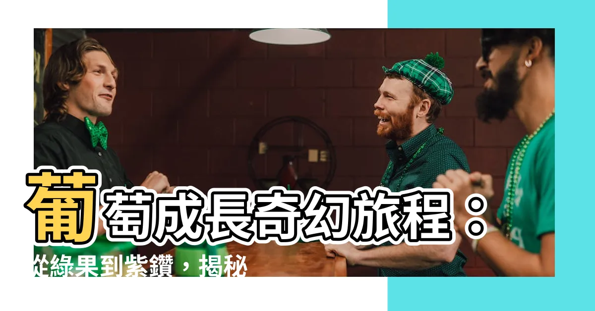 【葡萄生長過程】葡萄成長奇幻旅程:從綠果到紫鑽,揭秘6大關鍵步驟!