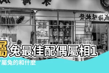 【屬相兔和什麼屬相相配】屬兔最佳配偶屬相1987屬兔的和什麼屬相最配 |屬兔的屬相婚配表揭秘生肖兔和什麼最配 |屬兔和什麼屬相最合 |