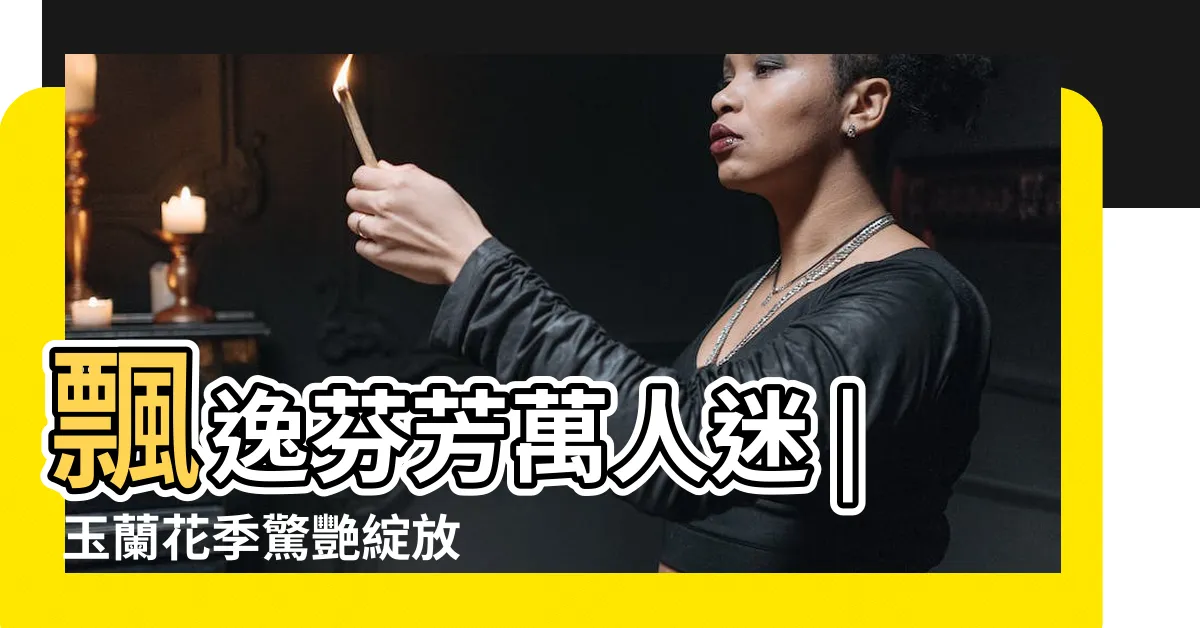 【玉蘭】飄逸芬芳萬人迷 | 玉蘭花季驚艷綻放