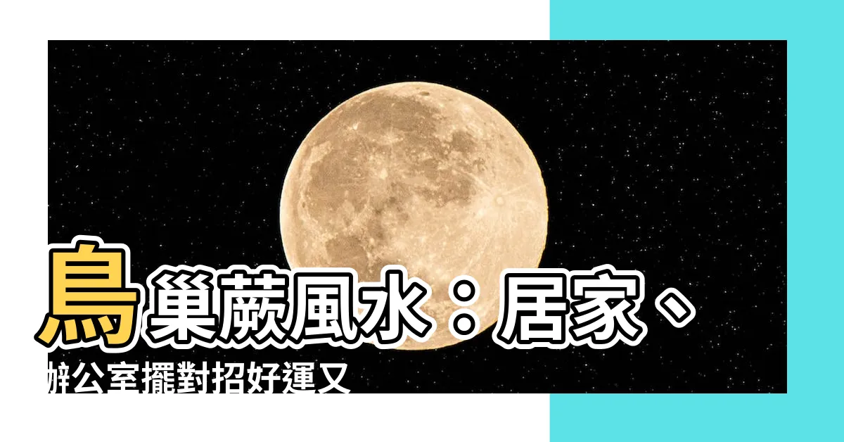 【鳥巢蕨風水】鳥巢蕨風水：居家、辦公室擺對招好運又聚財