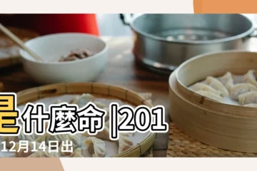 【2017年12月14日出生是什麼命】是什麼命 |2017年12月14日出生的人命好嗎 |出生日期2017年12月14日測命運 |