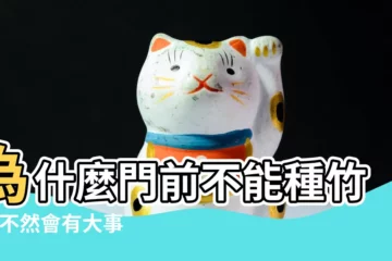 【門旁邊栽竹子好不好】為什麼門前不能種竹子 |不然會有大事發生 |家庭風水要瞭解 |