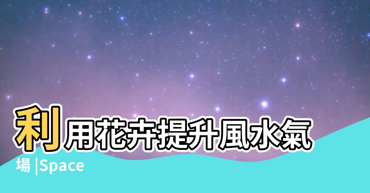 【家裡擺花 風水】利用花卉提升風水氣場 |Space |居家風水學 |