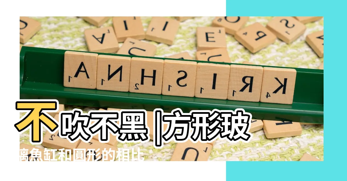 【圓形魚缸 不好】不吹不黑 |方形玻璃魚缸和圓形的相比 |我們不妨鑽進 |