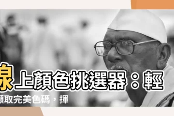 【顏色挑選氣】線上顏色挑選器：輕鬆擷取完美色碼，揮灑您的創作靈感