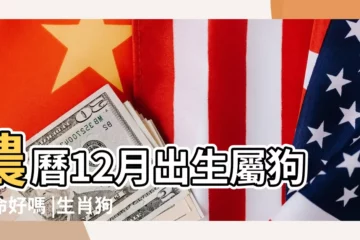【陽曆12月屬狗的命運怎麼樣】農曆12月出生屬狗人命好嗎 |生肖狗今年運勢詳解 |屬狗人出生月份命運 |