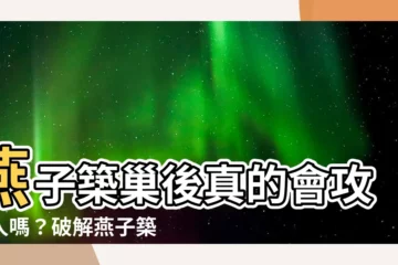 【燕子會攻擊人嗎】燕子築巢後真的會攻擊人嗎？破解燕子築巢行為與攻擊原因
