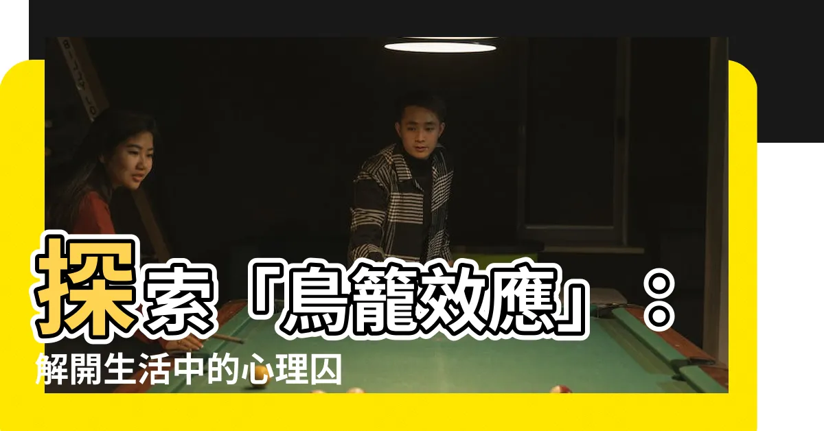 【鳥籠效應】探索「鳥籠效應」：解開生活中的心理囚籠