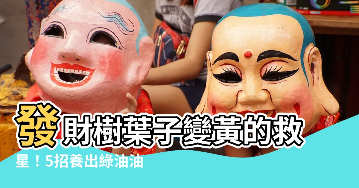 【發財樹葉子變黃】發財樹葉子變黃的救星！5招養出綠油油「搖錢樹」