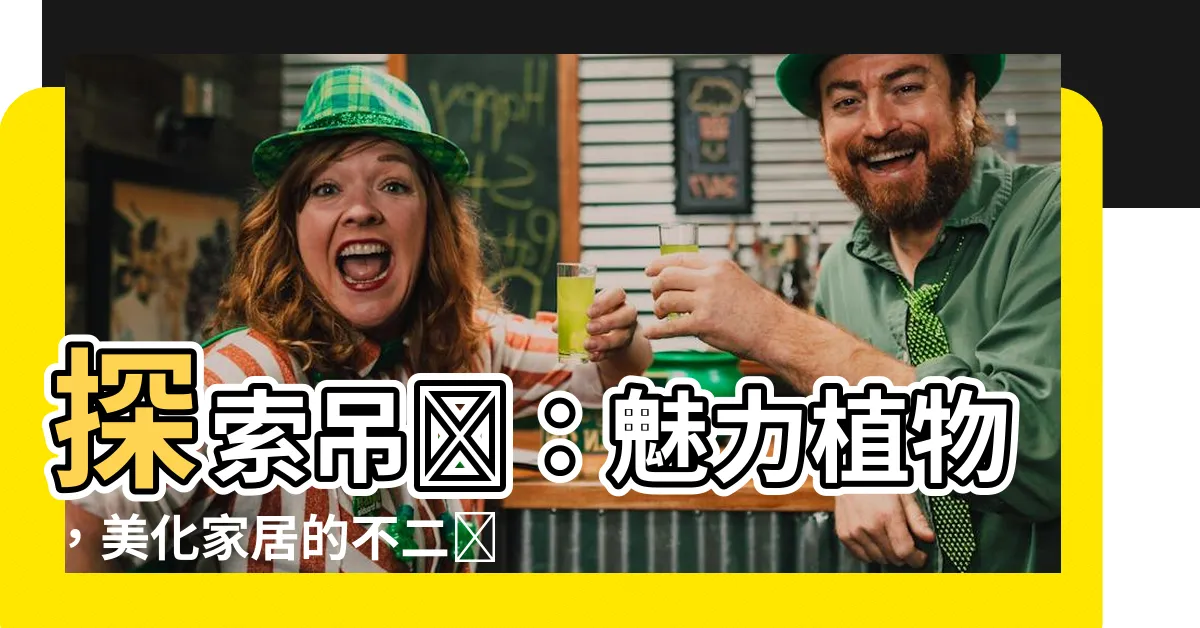 【吊蘭】探索吊蘭：魅力植物，美化家居的不二選擇