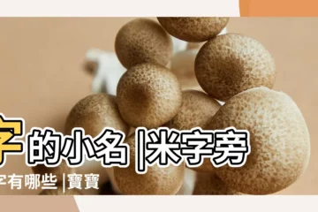 【米字旁的字小名】字的小名 |米字旁的字有哪些 |寶寶小名帶米字的 |