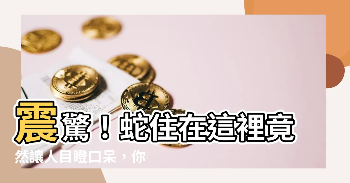 【蛇住在哪裏】震驚！蛇住在這裡竟然讓人目瞪口呆，你絕對想不到！