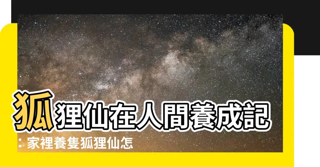 【家裏養個狐狸仙】狐狸仙在人間養成記：家裡養隻狐狸仙怎麼樣？