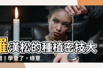 【羅漢松種植】羅漢松的種植密技大公開！學會了，綠意滿天下！