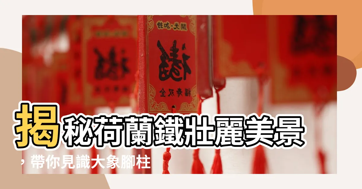 【荷蘭鐵】揭秘荷蘭鐵壯麗美景，帶你見識大象腳柱的驚人魅力！